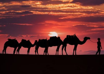5 Days Tour From Casablanca To Marrakech